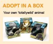 Adopt in a Box