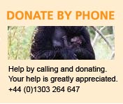 Donate by Phone